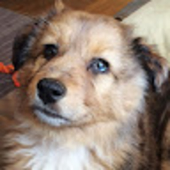 Meet your Posher, Marietta - Picture 1 of 1